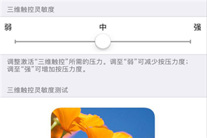 iPhonexs怎么打开3dtouch