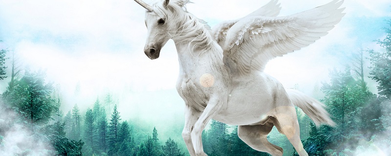 白马非马的错误在于割裂了 白马非马之说的错误在于