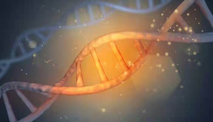 遗传物质包括哪些 遗传物质包括哪些