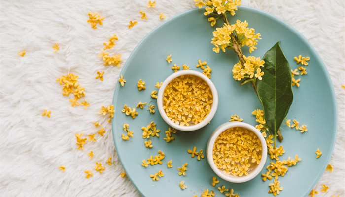 原耽中让人意难平的话 原耽中让你意难平的句子