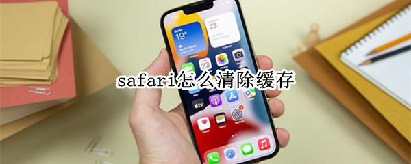 safari怎么清除缓存（safari怎么清除缓存数据）