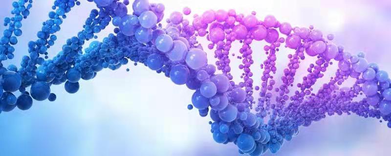 遗传物质包括哪些 遗传物质包括哪些