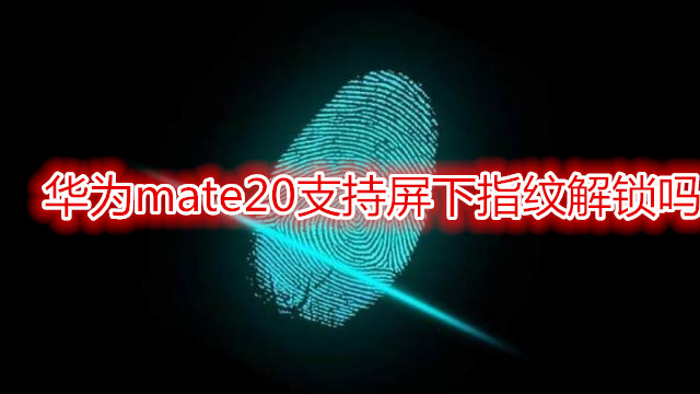 华为mate20支持屏下指纹解锁吗