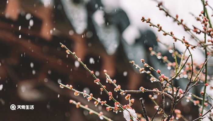 千树万树梨花开是什么季节 千树万树梨花开是什么样的景色