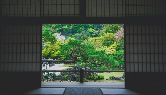 题破山寺后禅院翻译 题破山寺后禅院全文翻译