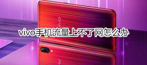 vivo手机流量上不了网怎么办
