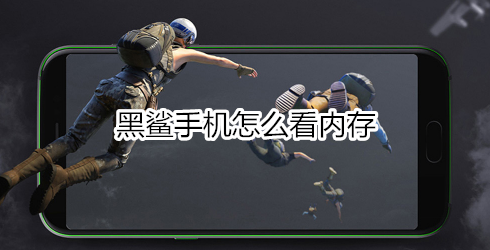 黑鲨手机怎么看内存