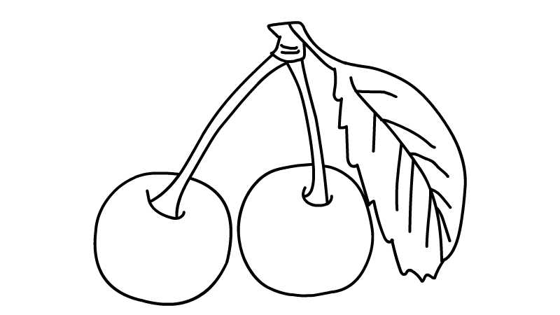 樱桃简笔画 樱桃简笔画怎么画