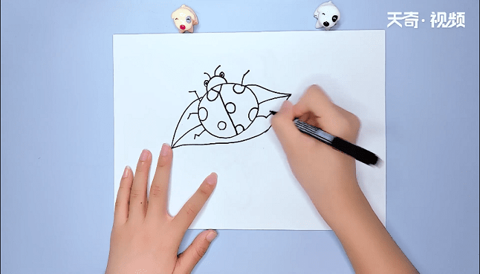 七星瓢虫的简笔画 七星瓢虫的简笔画画报