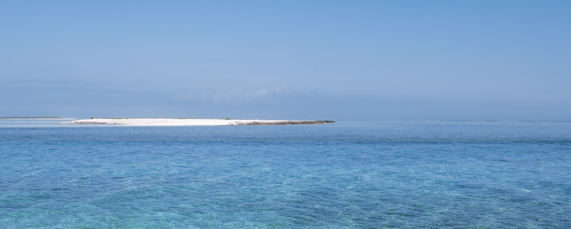 我国的四大海域 中国的四大海中有哪些