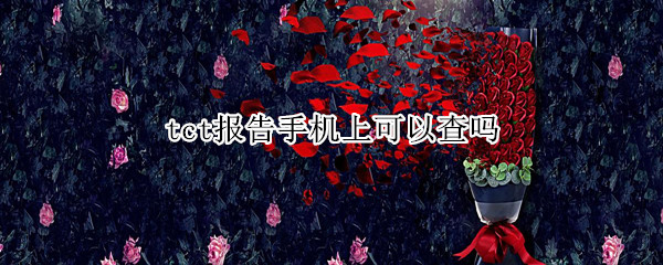 tct报告手机上可以查吗（tct检查结果手机可以查看报告吗）
