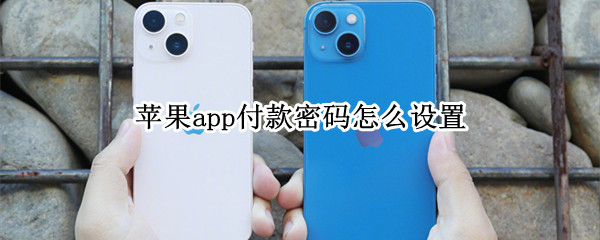 苹果app付款密码怎么设置（苹果手机支付密码怎么设置）