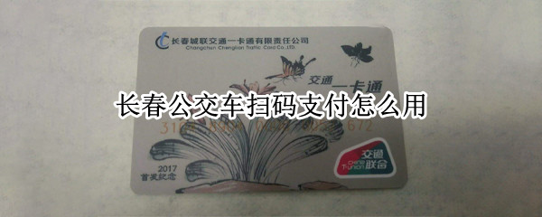 长春公交车扫码支付怎么用(长春公交车扫码支付怎么用苹果手机)