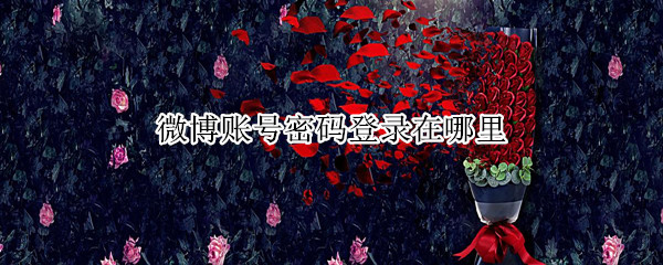 微博账号密码登录在哪里（微博密码登录）