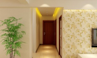 家里进门摆什么风水好 注意以下几点