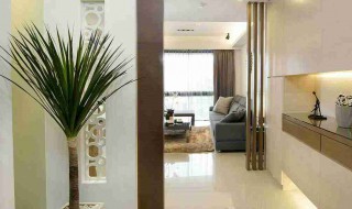 刚进门放什么风水比较好 进门摆放什么风水好介绍