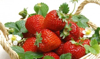 每天吃什么可以美白皮肤 每天吃什么可以美白？