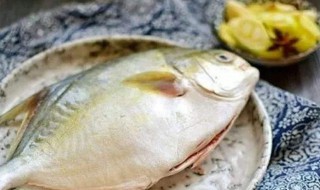 不宜吃白鲳鱼的人群 白鲳鱼不适合哪些人吃
