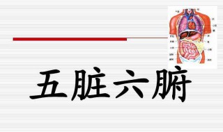 怎么养生调理五脏六腑 调理五脏六腑方法介绍