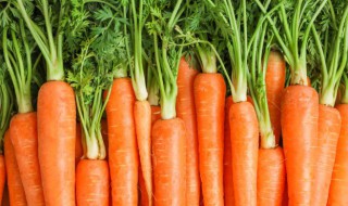 胡萝卜火腿怎么炒 胡萝卜火腿的烹饪方法