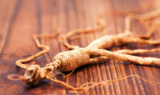 人参煲汤搭配什么 人参煲汤搭配推荐