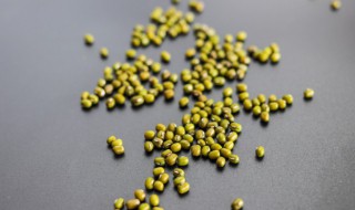 绿豆沙的简单做法 绿豆沙的烹饪方法