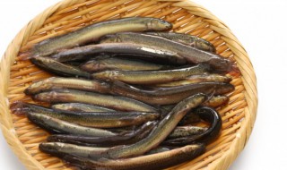 泥鳅的简单做法 泥鳅的烹饪方法