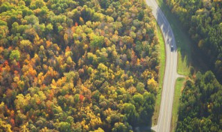 森林防火知识问答 森林防火知识问答精选