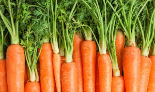 家常拌三丝的做法 家常拌三丝怎么做