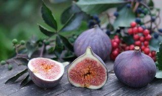 冻干无花果能泡水吗 可以用冻干无花果泡水吗