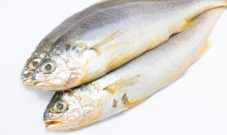 鱼肉的功效有哪些 吃鱼肉的好处
