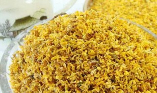 桂花泡水喝都有什么功效 桂花泡水喝都有哪些功效