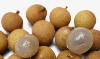 龙眼的功效与作用上火吗 龙眼的功效与作用以及能不能上火