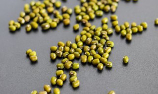 绿豆沙的做法豆浆机 这样做简单省事解放双手