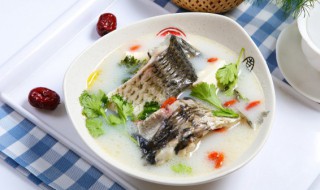 清顿鲫鱼汤的做法 这样做奶白浓郁一点也不腥