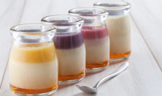 奶冻的做法大全 夏天解暑必备甜品