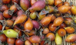 金樱子有什么功效与作用 金樱子药用价值分析