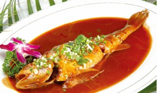 红烧大黄鱼的做法 红烧大黄鱼的做法介绍