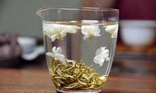 珠兰花茶和茉莉花茶的区别 珠兰花茶和茉莉花茶有什么不同