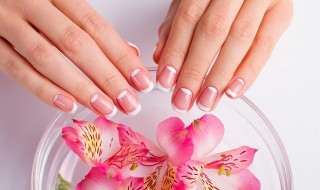 手的英语单词怎么读 手的英语单词是什么