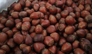 榛子怎么炒开口 榛子如何炒能开口