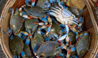 土豆螃蟹汤的做法 鲜到眉毛掉下来