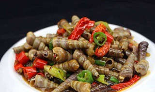 炒丁螺的做法 爆炒丁螺的家庭做法