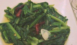 凤尾菜的做法 如何做凤尾菜