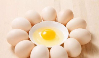 鸡全蛋粉是什么东西 鸡全蛋粉介绍