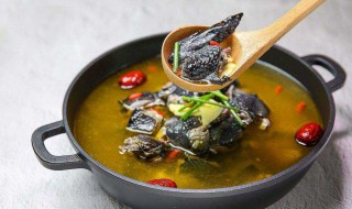 乌鸡有什么功效和作用 乌鸡的功效和作用介绍