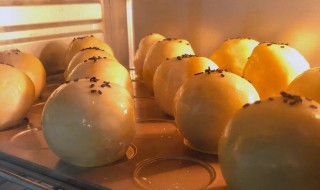 蛋黄酥的简单做法 蛋黄酥的简单做法分享