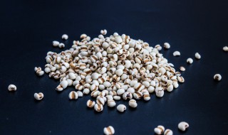 薏仁饭的做法 薏仁饭怎么做