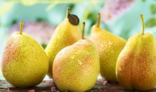 梨的英文怎么读 梨的英文如何读