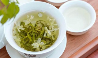 茉莉茶的功效与作用 茉莉茶有哪些功效与作用